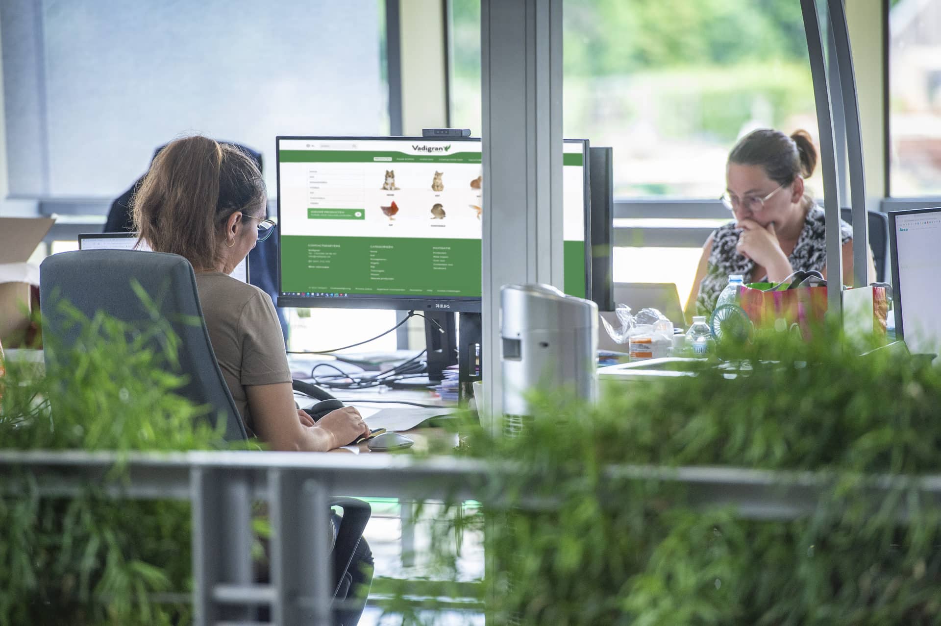 Modern workplace for guaranteed productivity
